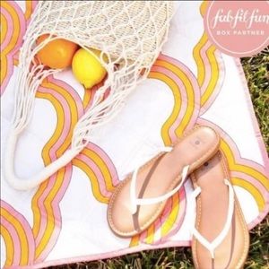 NWT Picnic Blanket - FabFitFun